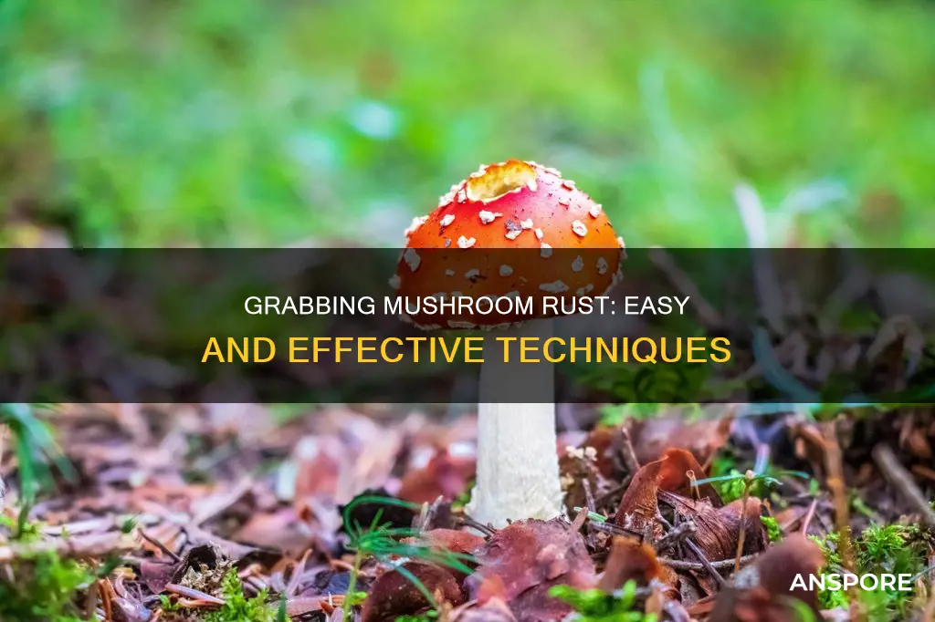 how to grab mushroom rust