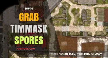 Mastering Timmask Spore Collection: Essential Tips and Techniques Revealed