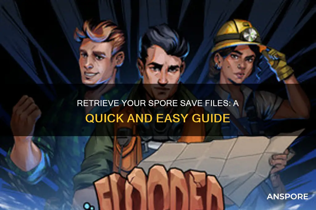 how to grab your save files from spore