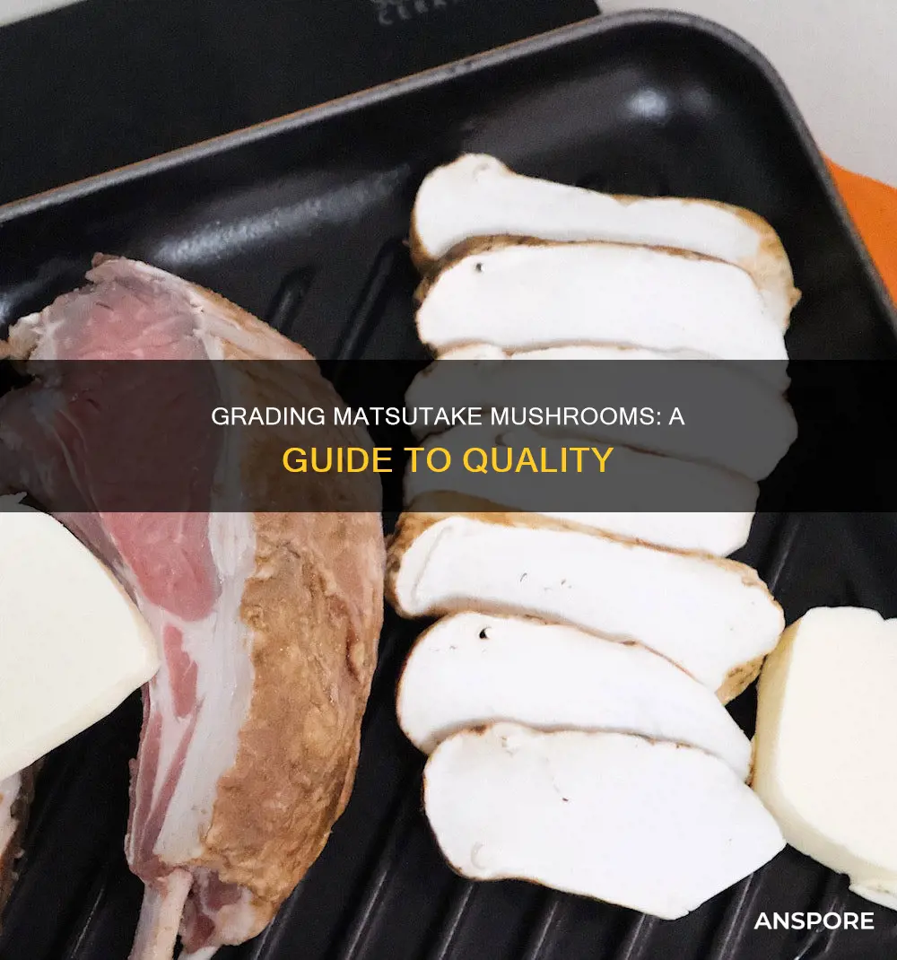 how to grade matsutake mushrooms