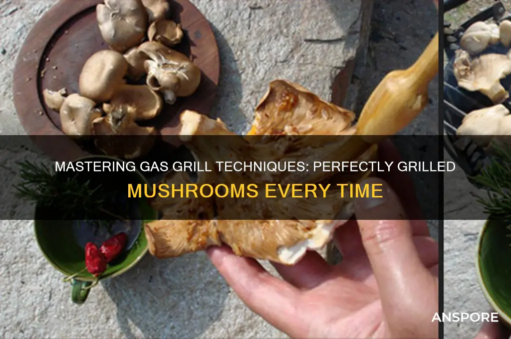how to grill mushrooms on gas grill
