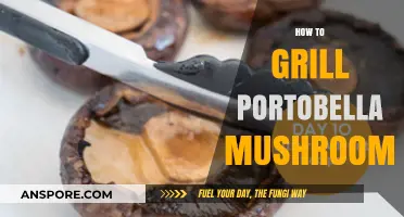 Mastering the Art of Grilling Perfect Portobello Mushrooms Every Time