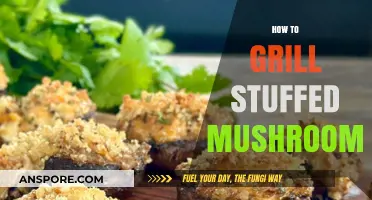 Grilled Stuffed Mushrooms: A Tasty Summer Treat