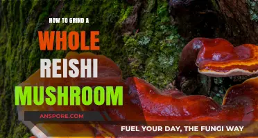 Mastering the Art of Grinding Whole Reishi Mushrooms for Optimal Benefits