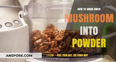 Effortless Mushroom Powder: Grinding Dried Mushrooms into Fine Powder