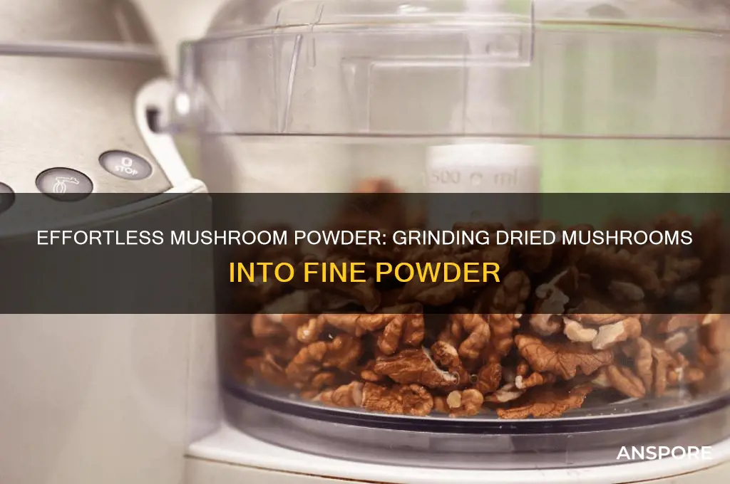 how to grind dried mushrooms into powder