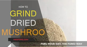 Grinding Dried Mushrooms: Best Techniques and Easy Tips