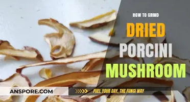 Mastering the Art of Grinding Dried Porcini Mushrooms for Flavorful Dishes