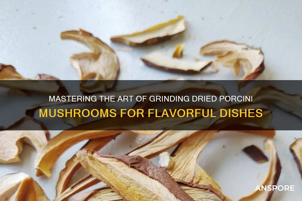how to grind dried porcini mushrooms