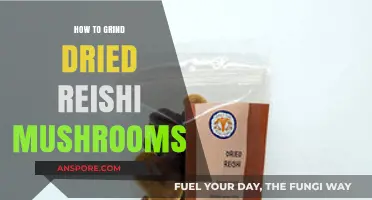 Mastering the Art of Grinding Dried Reishi Mushrooms for Optimal Use