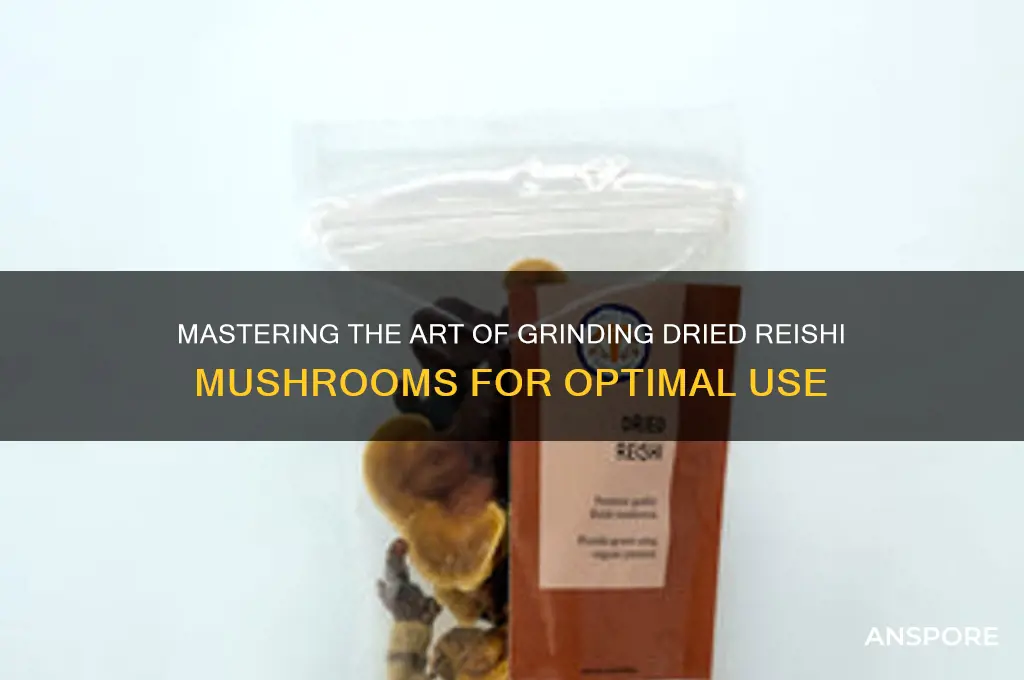 how to grind dried reishi mushrooms