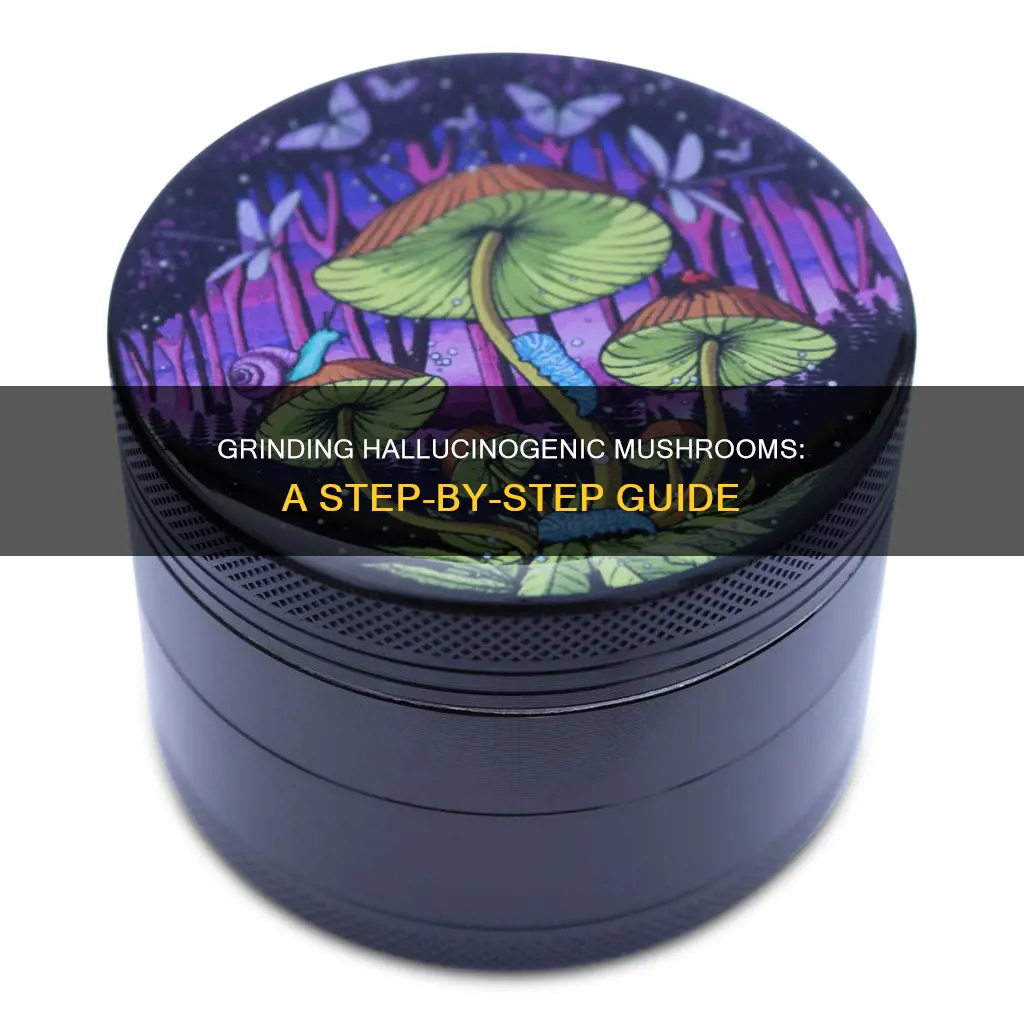 how to grind hallucinogenic mushrooms