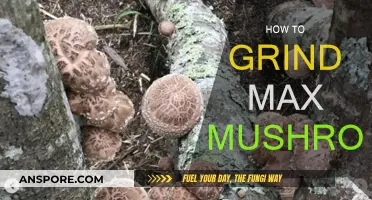 Grinding Max Mushrooms: A Step-by-Step Guide