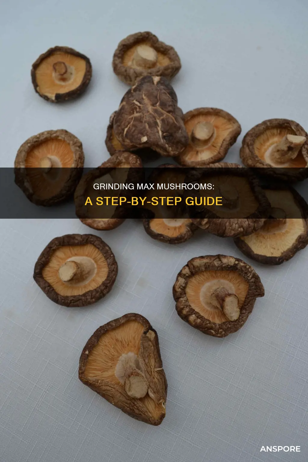 how to grind max mushrooms