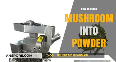 Mastering the Art of Grinding Mushrooms into Fine Powder