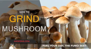 Grinding Mushrooms: The Ultimate Guide to Powder Perfection