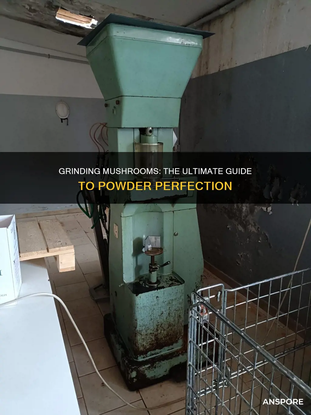 how to grind mushroom