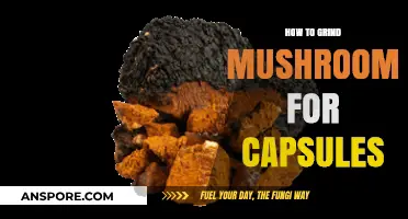 Efficient Mushroom Grinding Techniques for Perfect Capsule Preparation