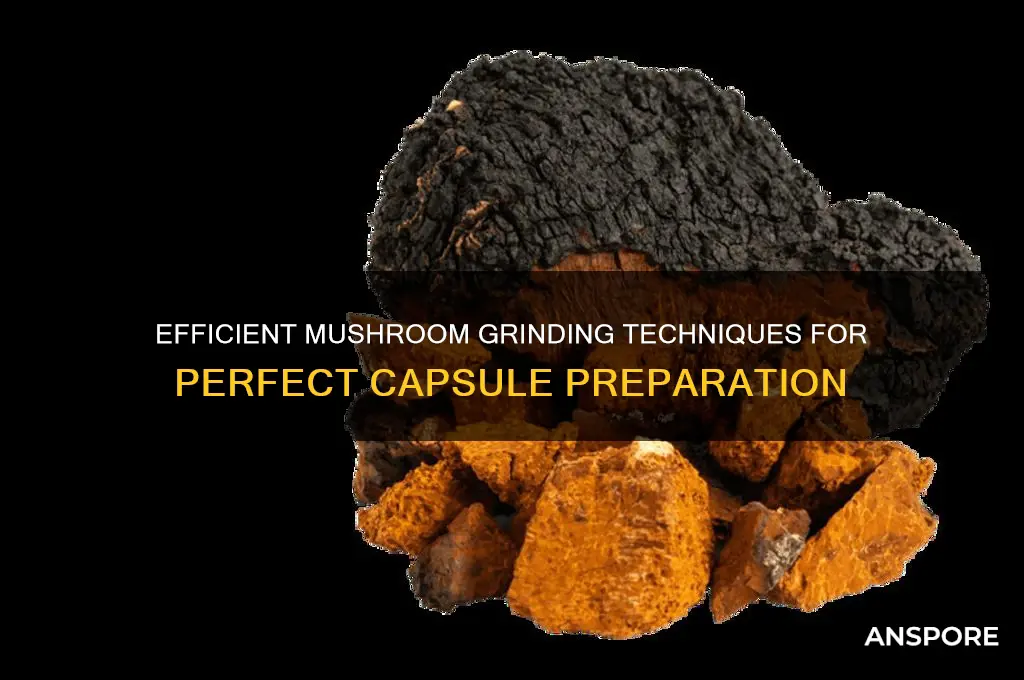 how to grind mushrooms for capsules