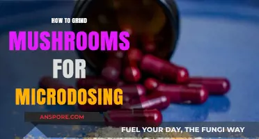 Mastering Microdosing: A Step-by-Step Guide to Grinding Mushrooms