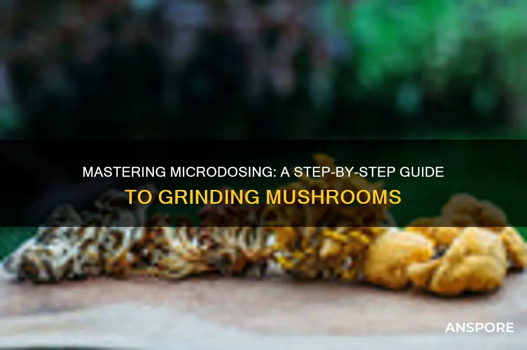 how to grind mushrooms for microdosing
