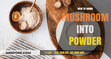 Mastering Mushroom Powder: Simple Steps to Grind Mushrooms Perfectly