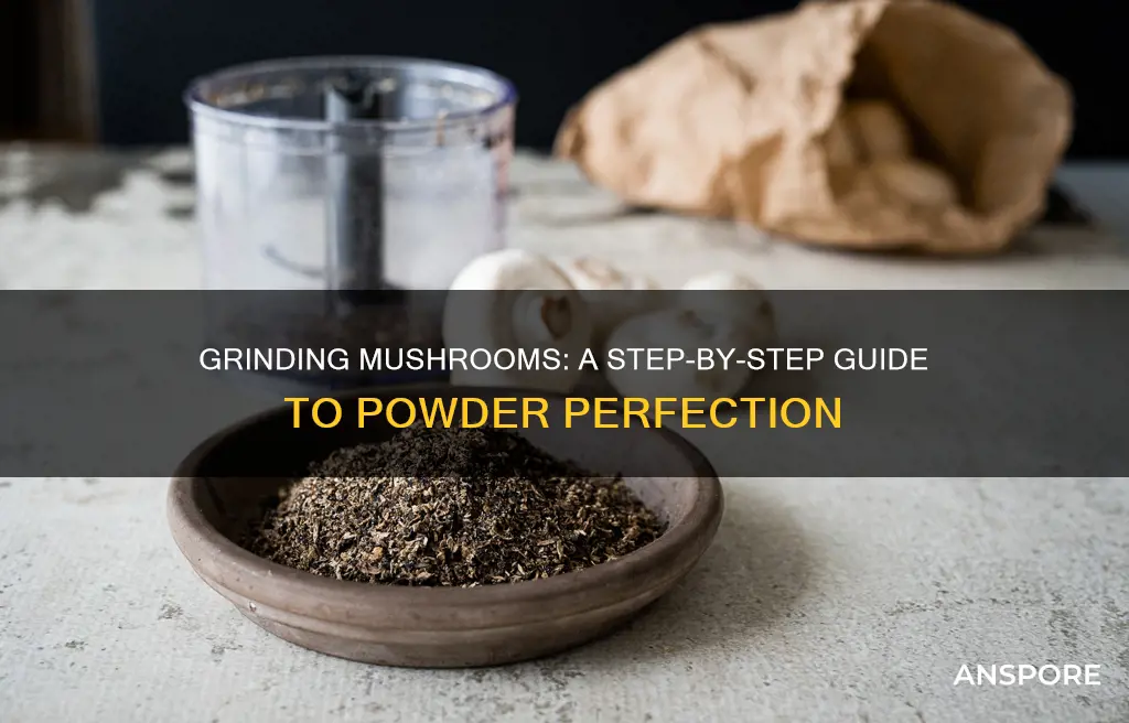 how to grind mushrooms