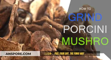 The Magic of Grinding Porcini Mushrooms: A Guide
