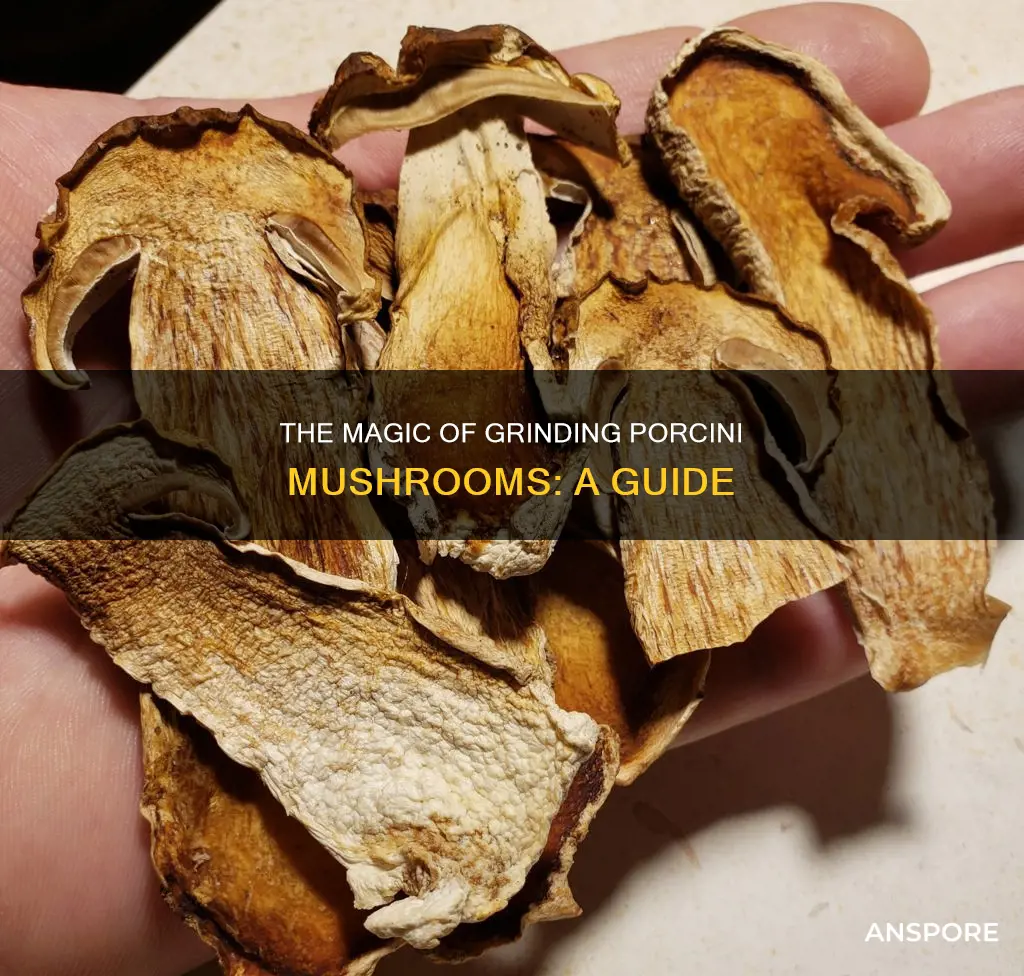 how to grind porcini mushrooms