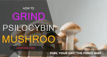 Grinding Psilocybin Mushrooms: A Step-by-Step Guide