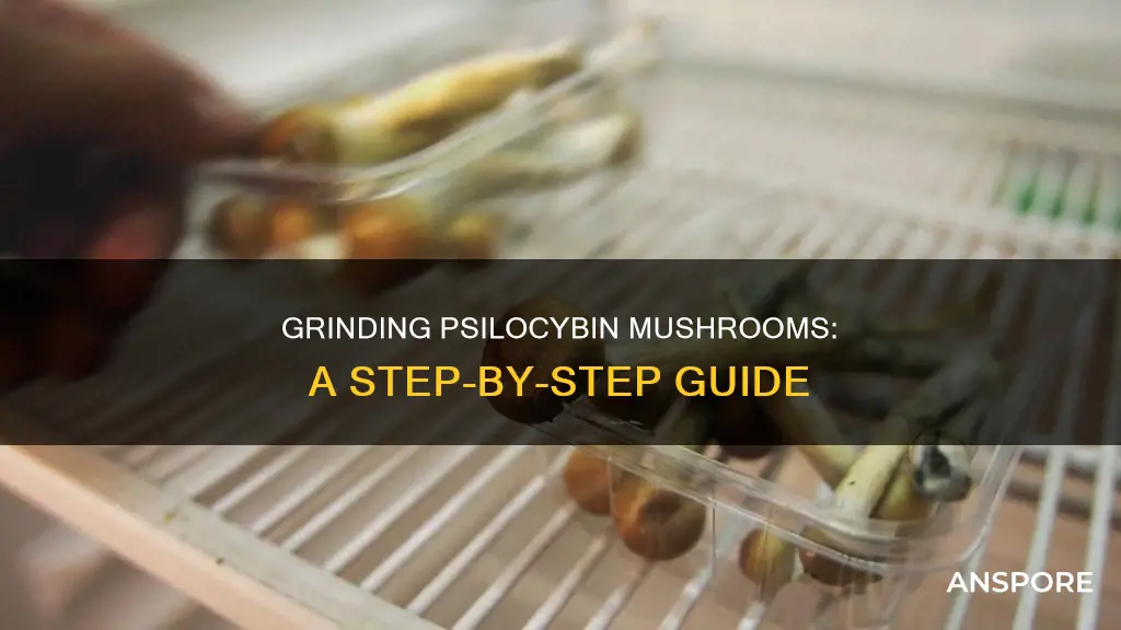 how to grind psilocybin mushrooms