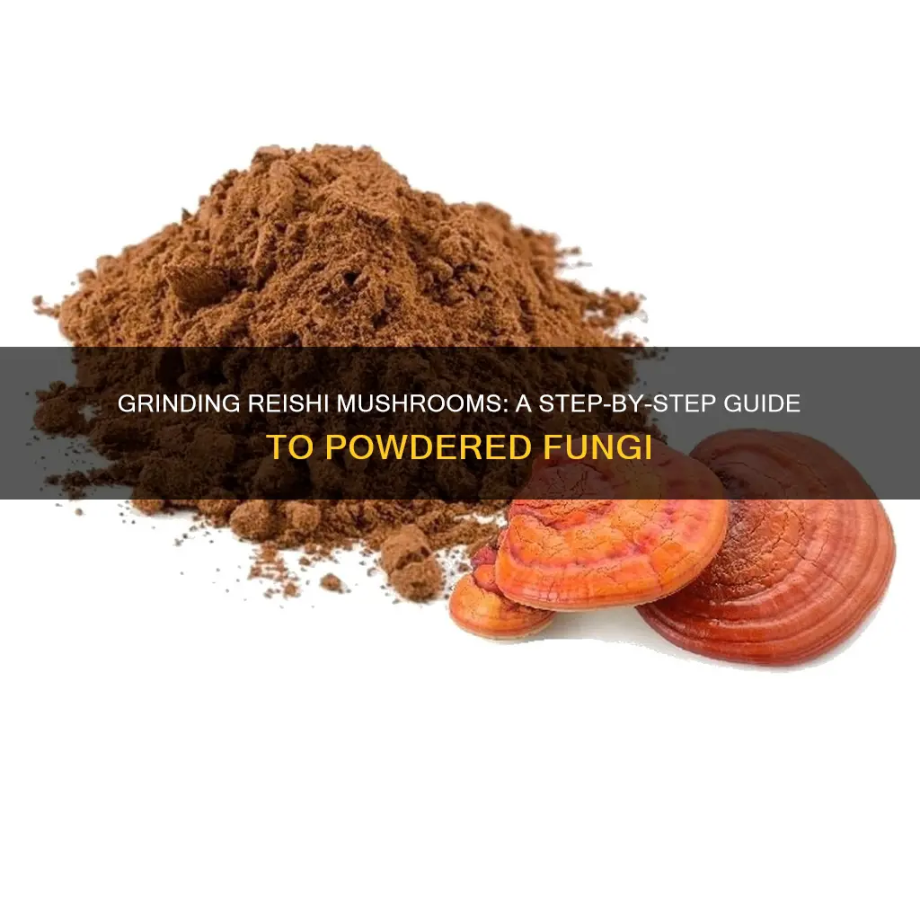 how to grind reishi mushroom