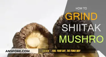 Grinding Shiitake Mushrooms: The Ultimate Guide to Powder Perfection