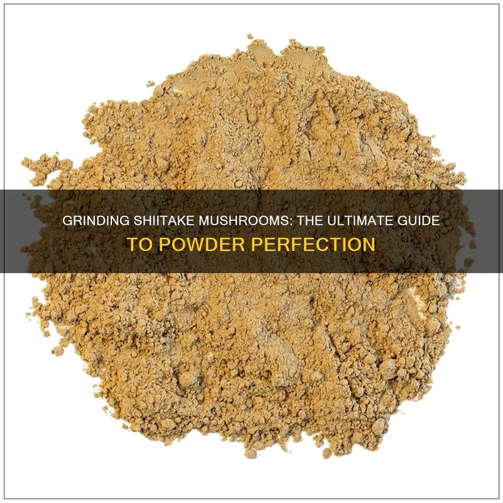 how to grind shiitake mushrooms