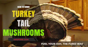 Mastering the Art of Grinding Turkey Tail Mushrooms for Optimal Use