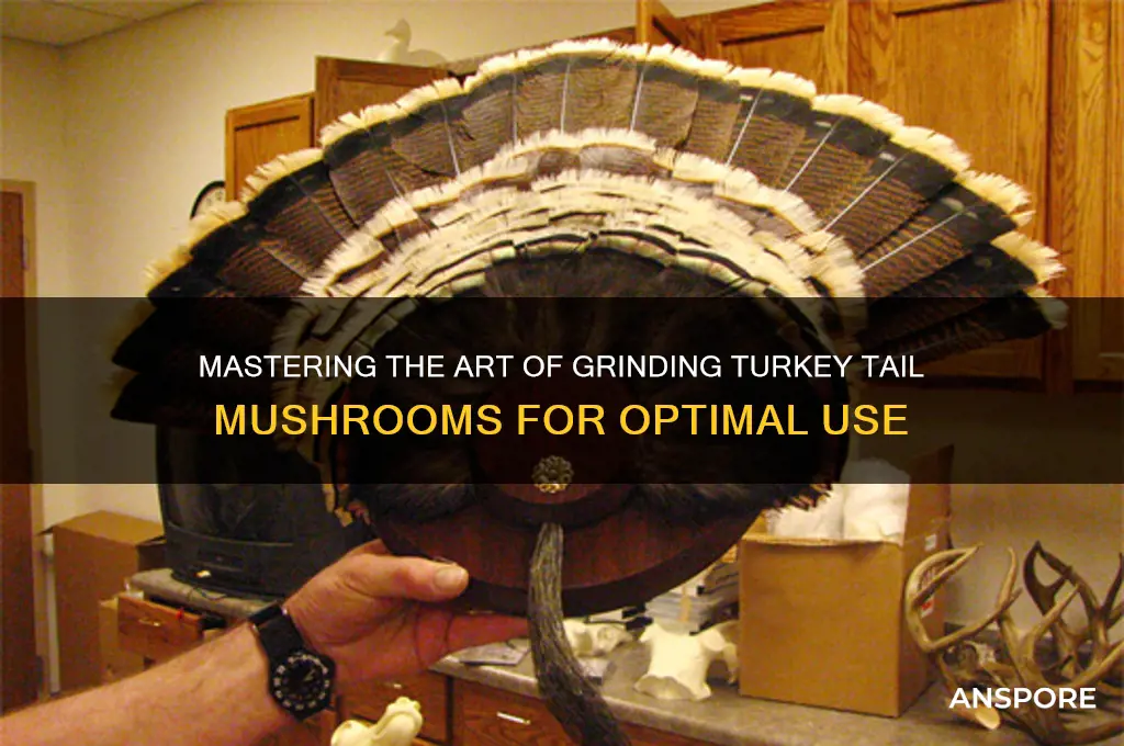 how to grind turkey tail mushrooms