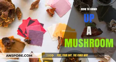 Mastering Mushroom Grinding: Techniques for Perfectly Pulverized Fungi