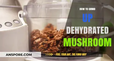 Mastering the Art of Grinding Dehydrated Mushrooms for Perfect Recipes
