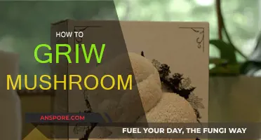 Mushroom Cultivation: A Beginner's Guide to Success