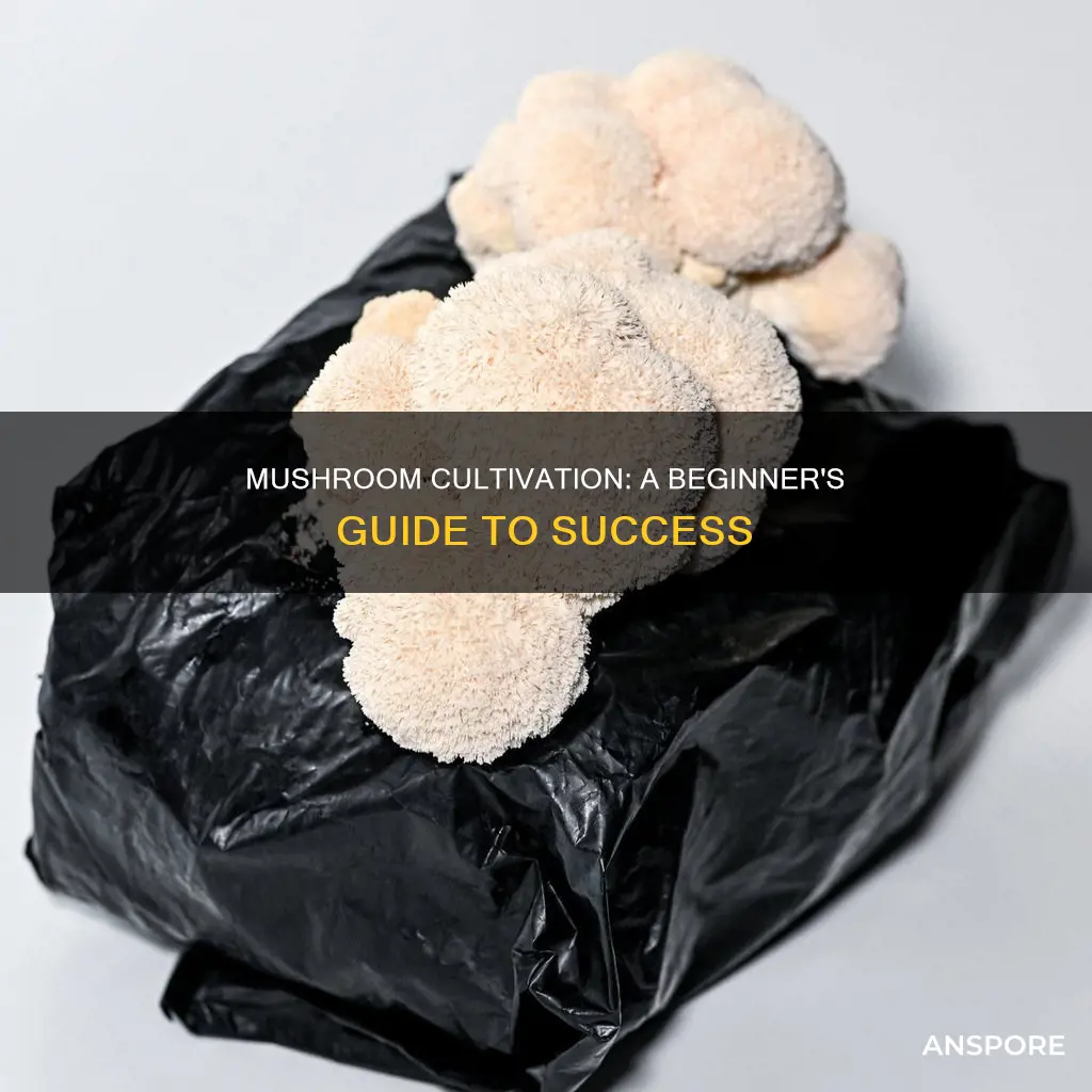 how to griw mushrooms