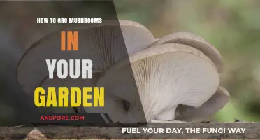 Grow Your Own Mushrooms: A Garden-Fresh Guide to Cultivation