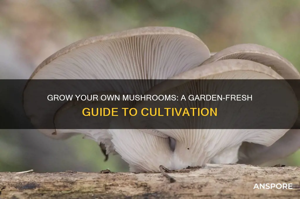 how to gro mushrooms in your garden
