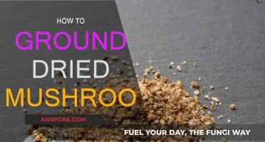The Magic of Ground Dried Mushrooms: A Step-by-Step Guide