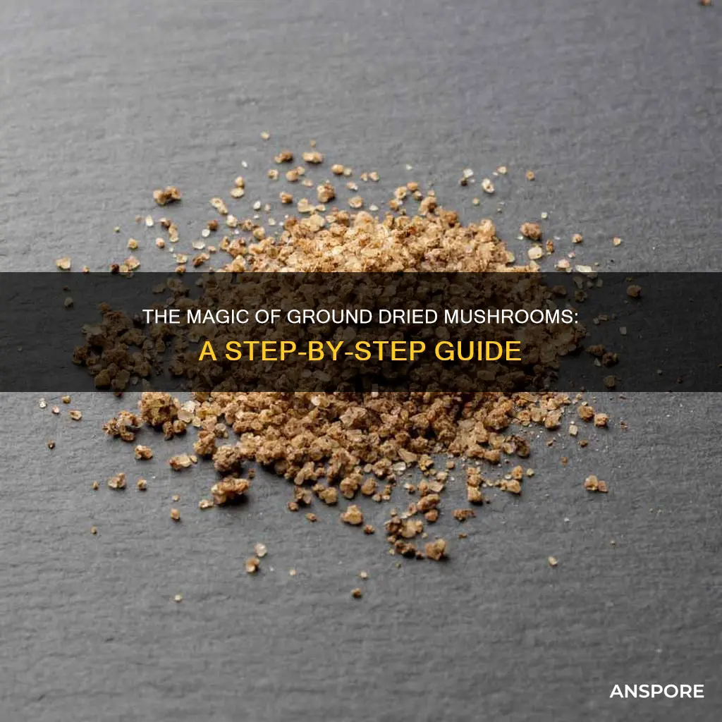 how to ground dried mushrooms