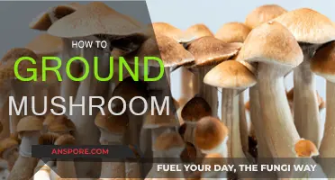 The Ultimate Guide: Grounding Mushrooms for Beginners