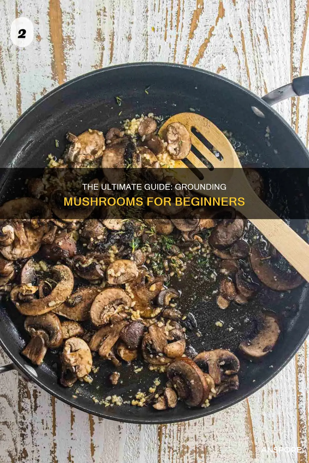 how to ground mushrooms