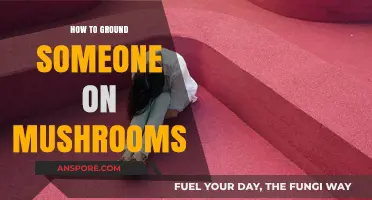 Guiding a Mushroom Trip: Effective Techniques to Safely Ground Someone