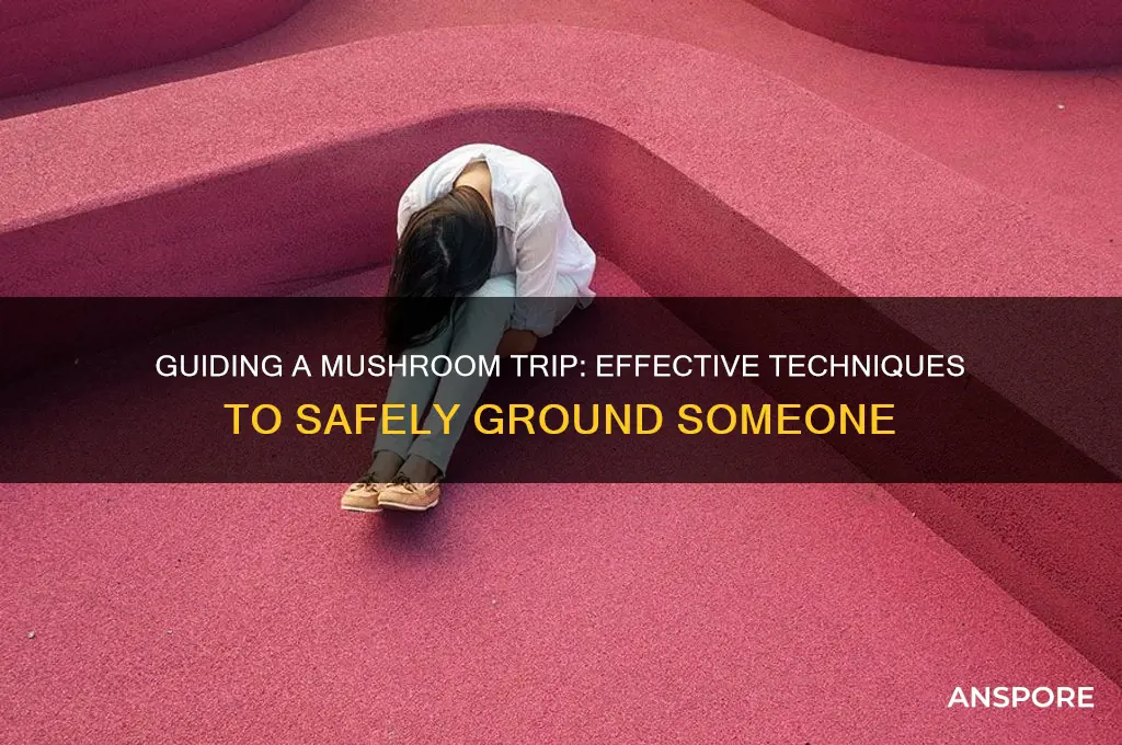 how to ground someone on mushrooms