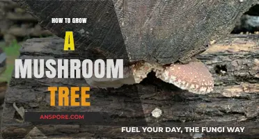 Cultivating a Mushroom Tree: A Step-by-Step Growing Guide