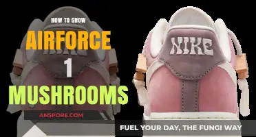 Cultivating Airforce 1 Mushrooms: A Step-by-Step Growing Guide